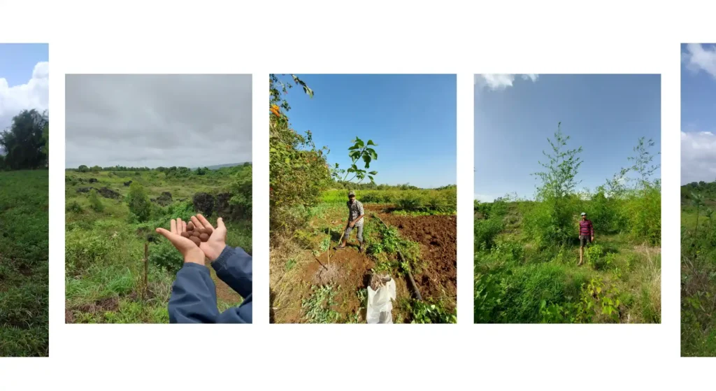 Trees Plantation Web Banner